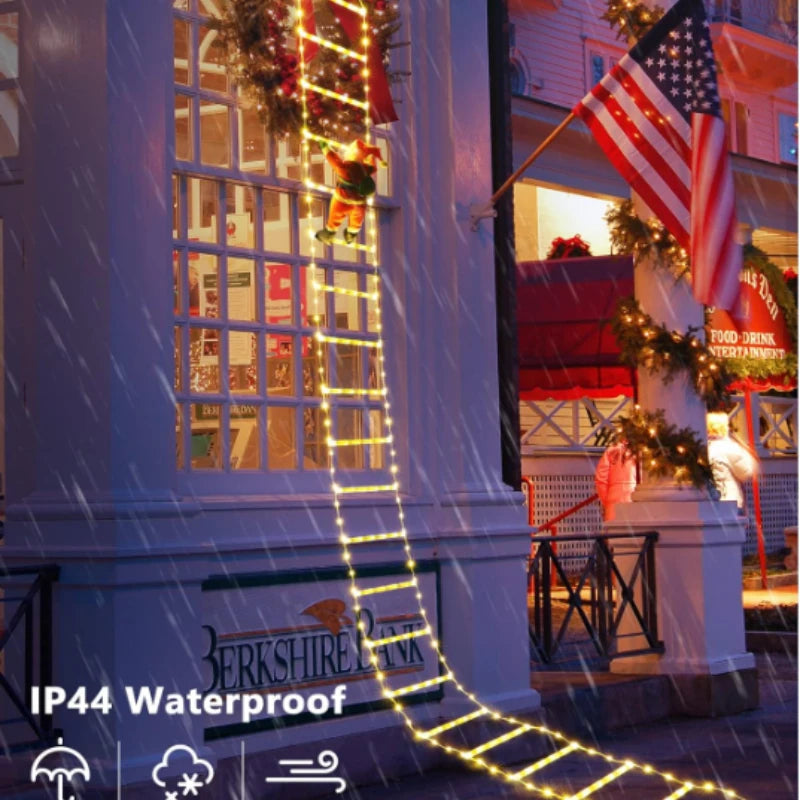 Climbing Santa LED Holiday Light