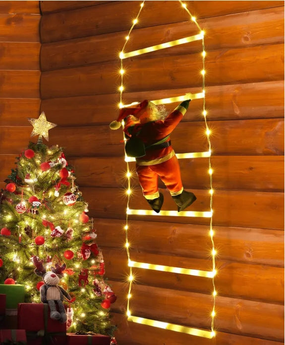 Climbing Santa LED Holiday Light